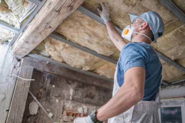 Insulation Inspection Services in Pascoag, RI